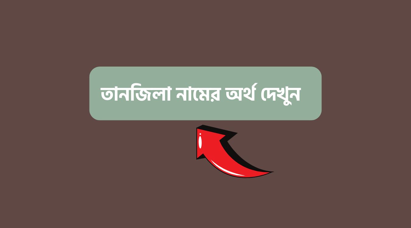 তানজিলা নামের অর্থ